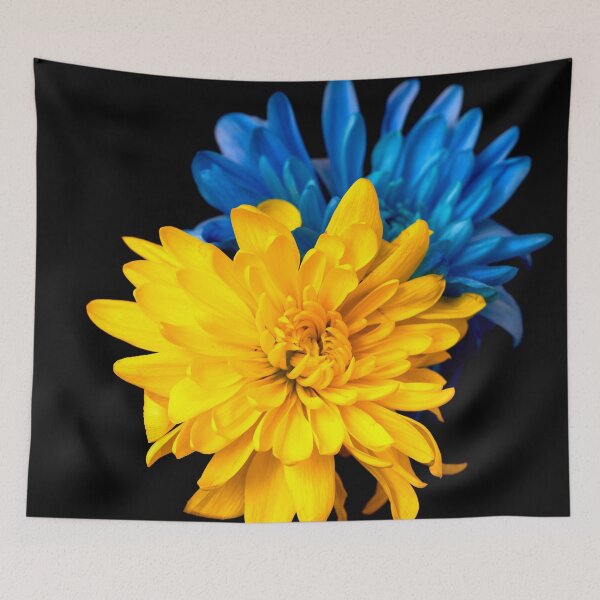 Item preview, Ukrainian chrysanthemums designed and sold by IgorKovalenko.