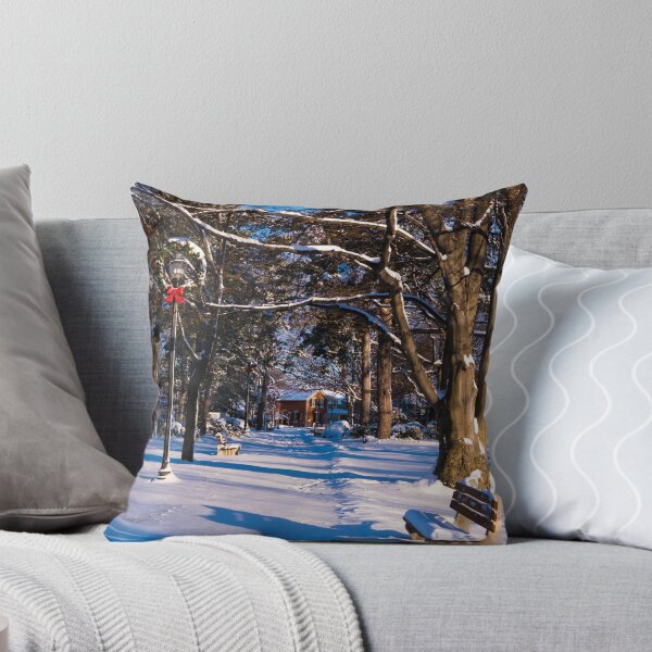 Item preview, Snowy Path designed and sold by Rae Tucker Photography & Designs.