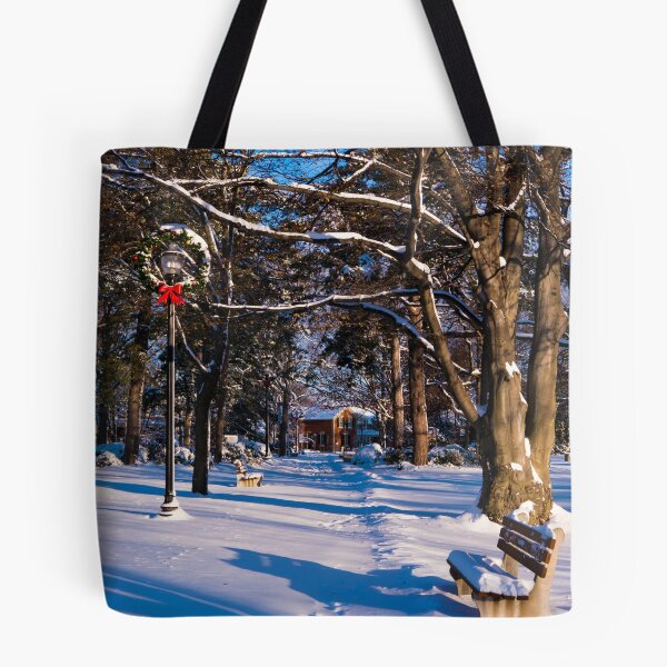 Item preview, Snowy Path designed and sold by Rae Tucker Photography & Designs.