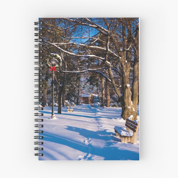 Item preview, Snowy Path designed and sold by Rae Tucker Photography & Designs.
