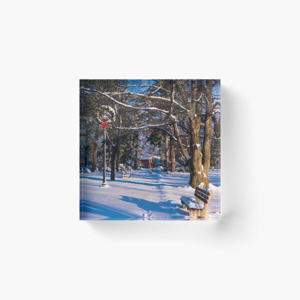 Item preview, Snowy Path designed and sold by Rae Tucker Photography & Designs.