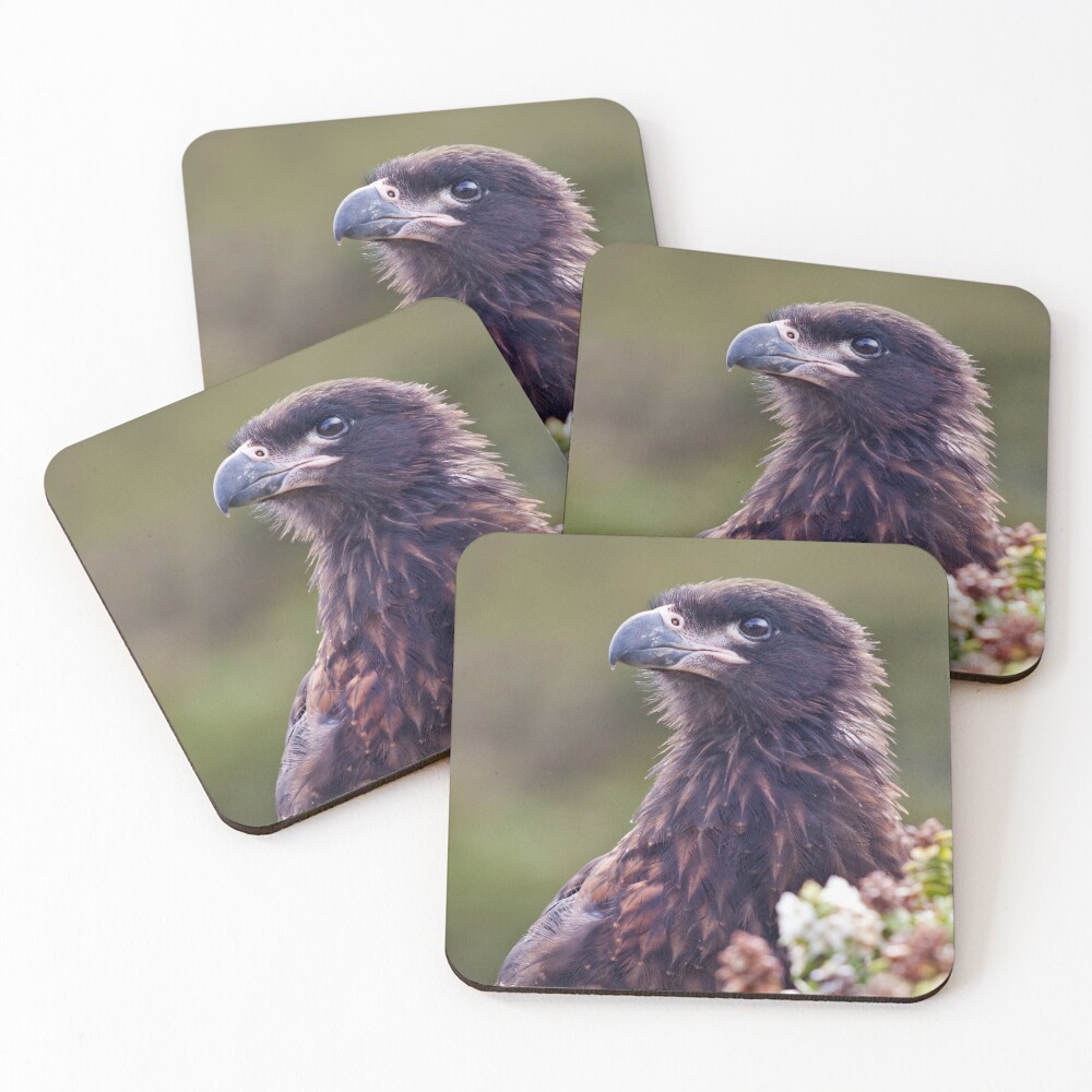 Item preview, Coasters (Set of 4) designed and sold by KrysBailey.