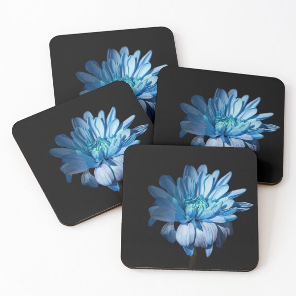 Item preview, Ukrainian chrysanthemums designed and sold by IgorKovalenko.