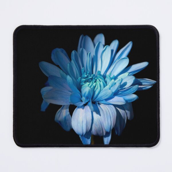 Item preview, Ukrainian chrysanthemums designed and sold by IgorKovalenko.