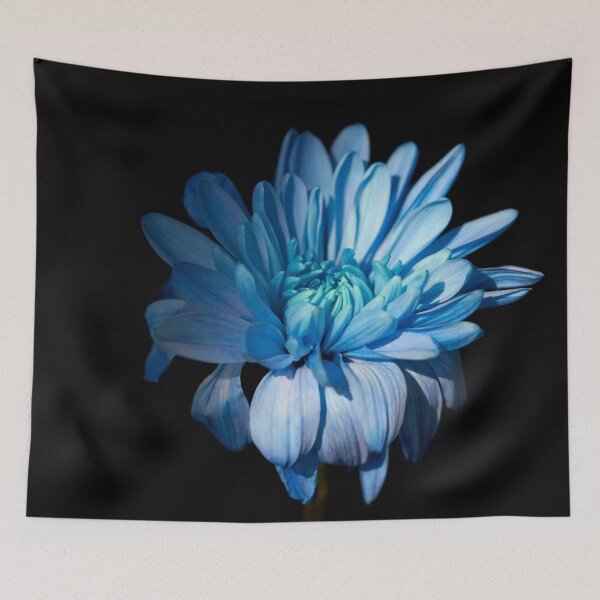 Item preview, Ukrainian chrysanthemums designed and sold by IgorKovalenko.