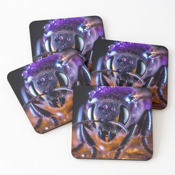 Item preview, Wild bee on World Bee Day 2023 designed and sold by Patrick Hager.