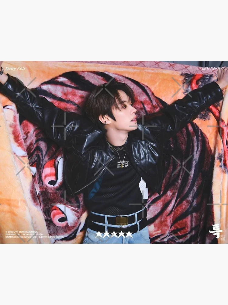 Stray Kids 'Lee Know V2' Poster – Posters Plug