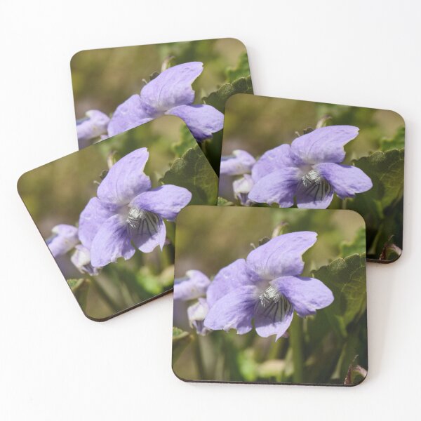 Item preview, Purple violet. Bog Violet designed and sold by Jouko Lehto Photography.