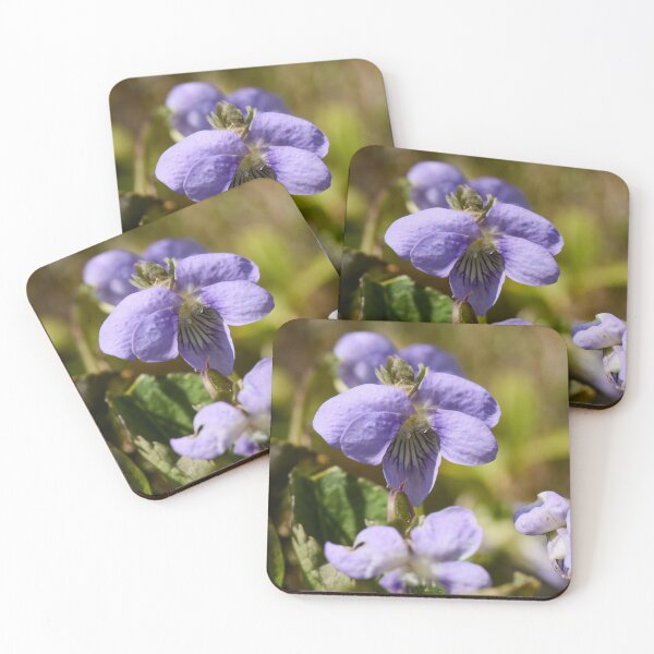 Item preview, Bog Violet multiplied designed and sold by Jouko Lehto Photography.