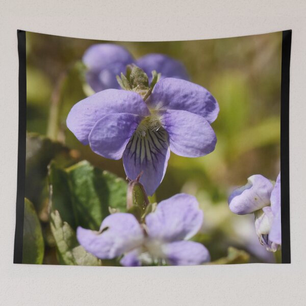 Item preview, Bog Violet multiplied designed and sold by Jouko Lehto Photography.
