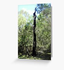 Burnt Greeting Card