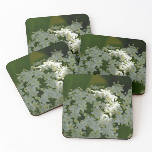 Item preview, A mountain ash in bloom designed and sold by Claude Laprise.