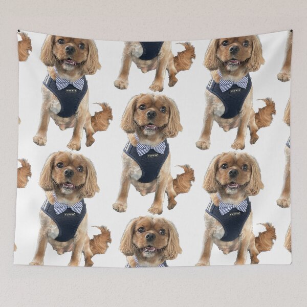 Item preview, Handsome Boy designed and sold by lpolitano.