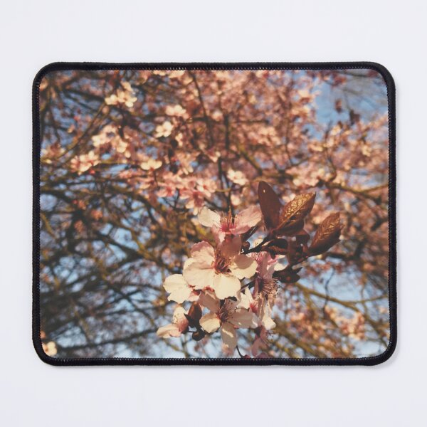 Item preview, Cherry blossom flower designed and sold by marghe41.