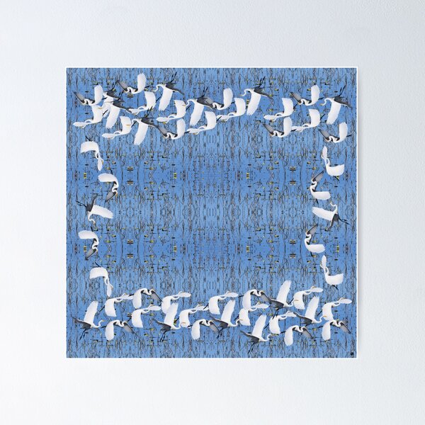 White Egret Landing Poster