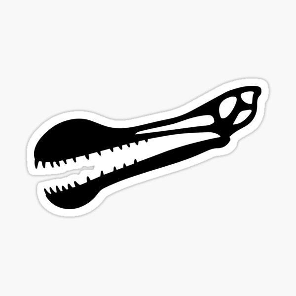 Artikel-Vorschau von Tropeognathus-Schädel - schwarz, designt und verkauft von Skeleton Crew.