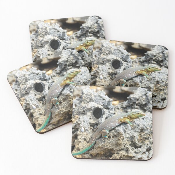 Item preview, Curacao Lizard designed and sold by Kasia Design.