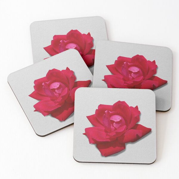 Item preview, Spring Summer Bright Pink Red Rose Floral Digital Print Minimalist Art Photograph with Pop White Grey Background designed and sold by ARTbyABACCUS.