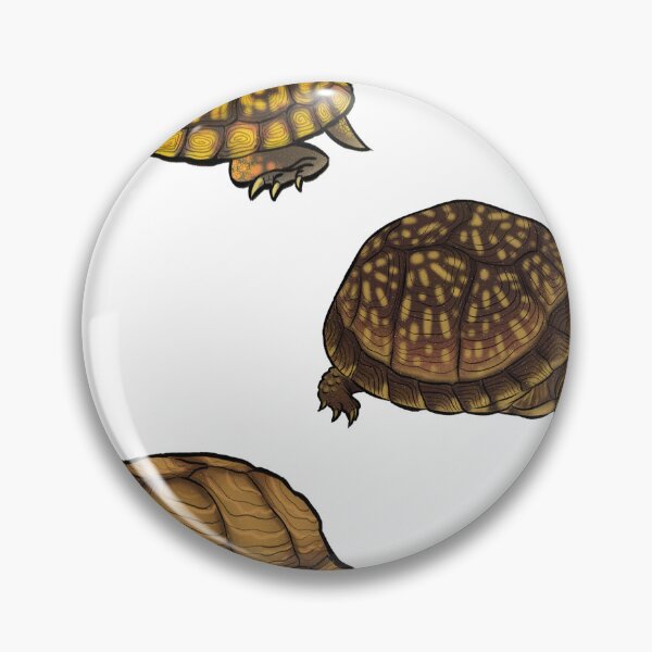 Item preview, Box Turtles designed and sold by Breanna Sanchez.