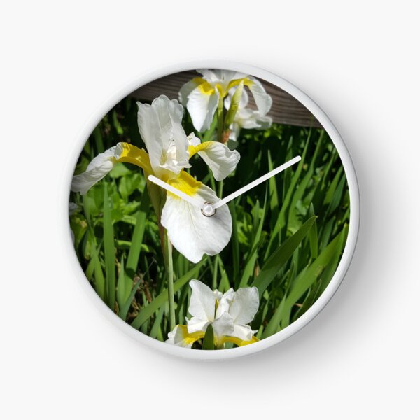 Roadside White Irises Clock