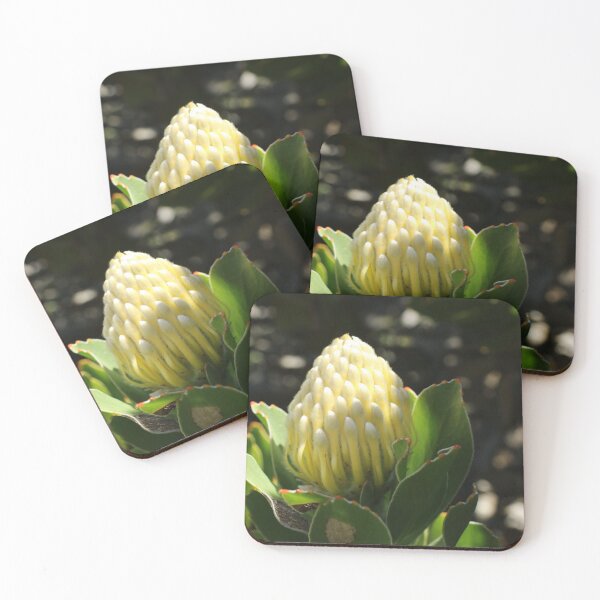 Item preview, Nature, Africa, South Africa, Flower, Protea, Bud, Yellow, Light, Shadow, Photography, BebiCervin designed and sold by BebiCervin.