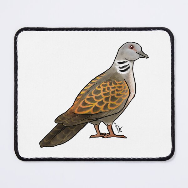 Item preview, Turtledove designed and sold by Jennifer Stolzer.