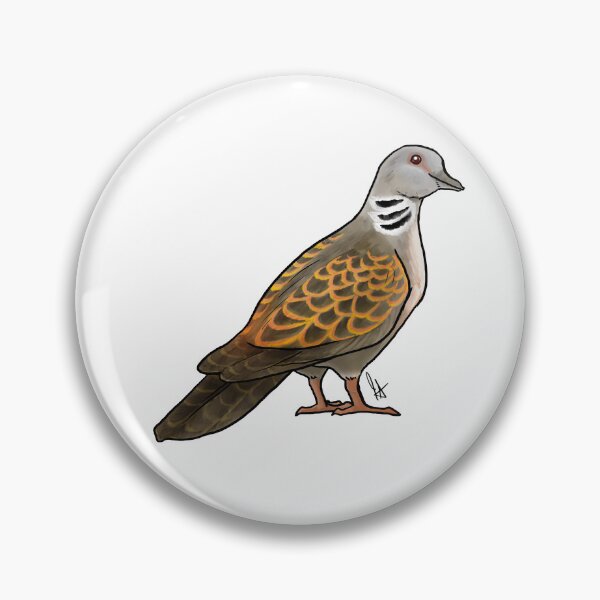 Item preview, Turtledove designed and sold by Jennifer Stolzer.
