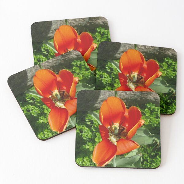 Item preview, Dying orange tulip designed and sold by Shulie1.