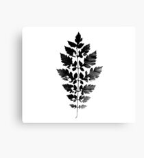 Precious Canvas Print