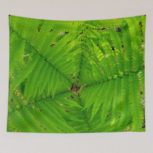 Item preview, Fern Pentagon designed and sold by bjtomiko.