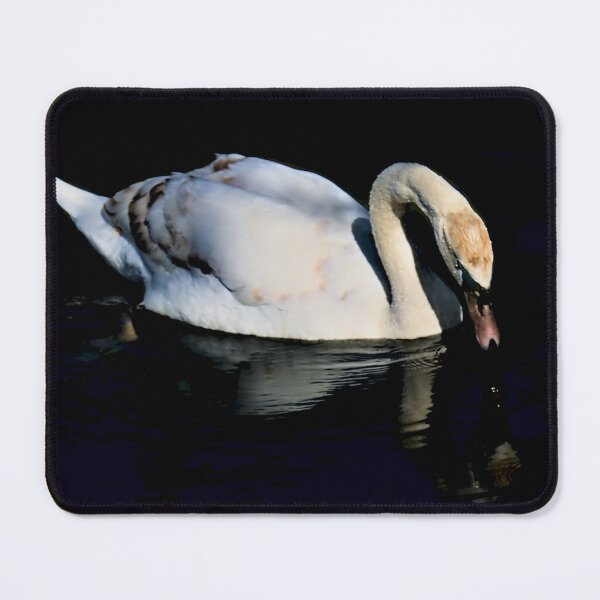 Item preview, Swan Drinking on the Lake designed and sold by Jeremy Hayden.