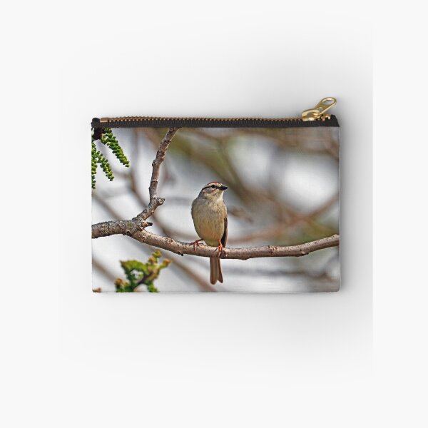 Item preview, Spring Chipping Sparrow designed and sold by Deb Oppermann.