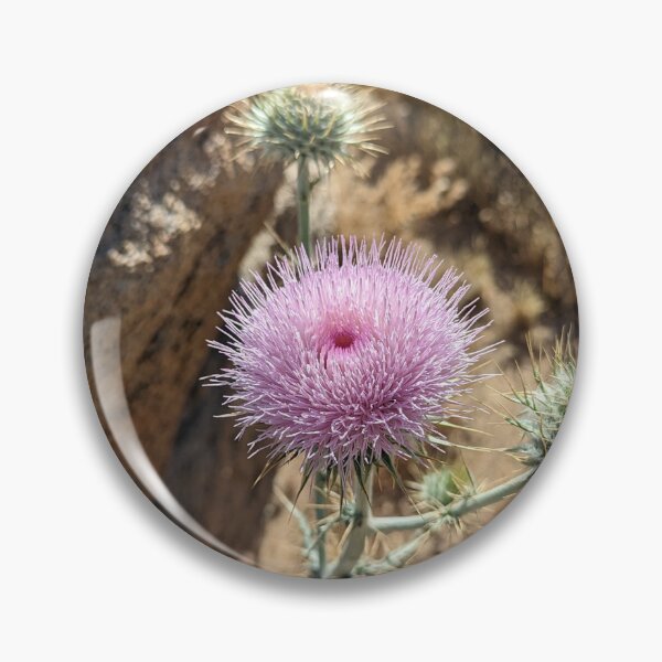 Item preview, Pink Desert Thistle  designed and sold by Jkund19.