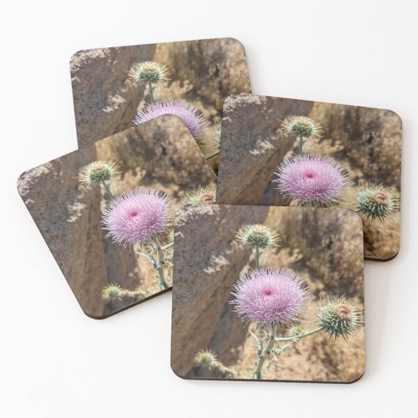Item preview, Pink Desert Thistle  designed and sold by Jkund19.