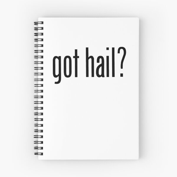 Item preview, got hail? - Black designed and sold by PadreGrande.