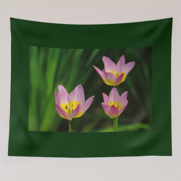 Item preview, Pink And Yellow Tulips designed and sold by Deb Oppermann.