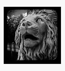 Urban Wildlife Photographic Print