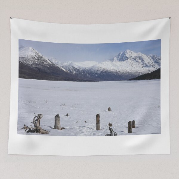 Item preview, Frozen lakes designed and sold by zumi.