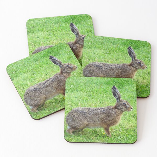 Item preview, Hartley Hare designed and sold by Barrie Woodward.