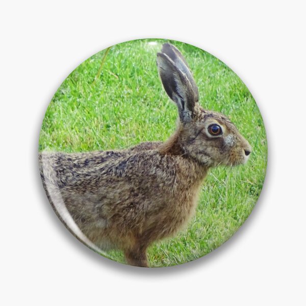 Item preview, Hartley Hare designed and sold by Barrie Woodward.