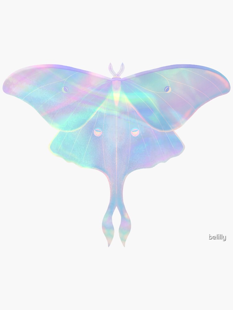 Moth Holographic Sticker