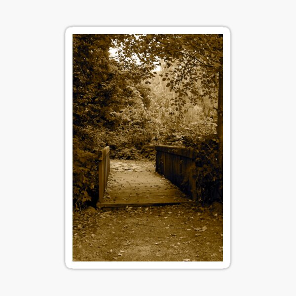 Item preview, Stanley Park Pathway designed and sold by Rae Tucker Photography & Designs.