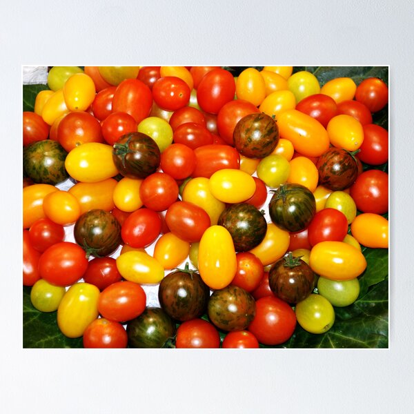 Item preview, tomatoes designed and sold by Luca Renoldi.