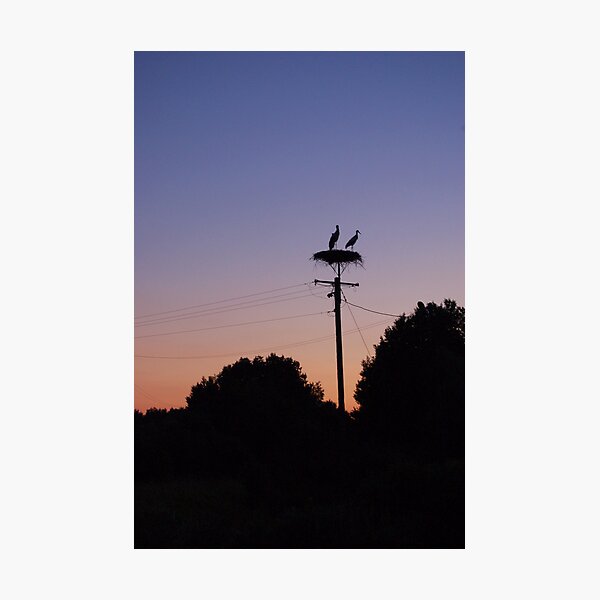 Item preview, Storks and sunset designed and sold by MKCn.