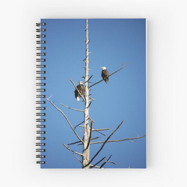 Item preview, Eagles designed and sold by Rae Tucker Photography & Designs.
