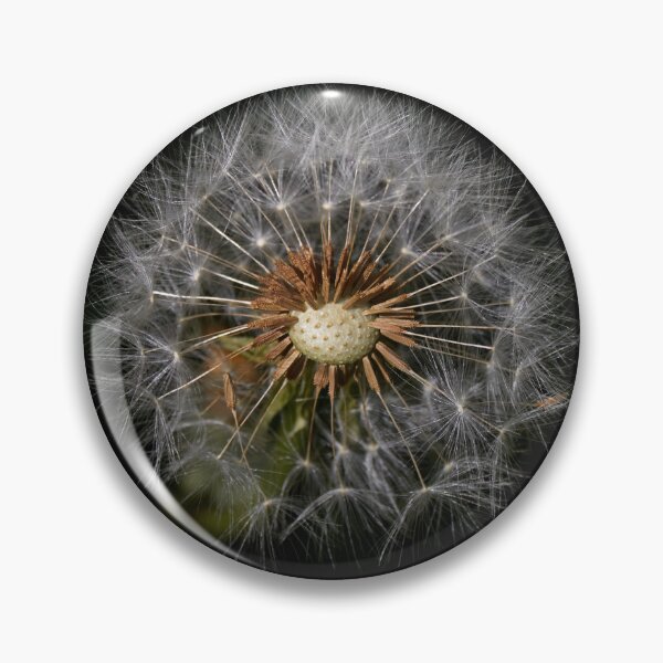Item preview, Dandelion in the Dark designed and sold by couragesings.