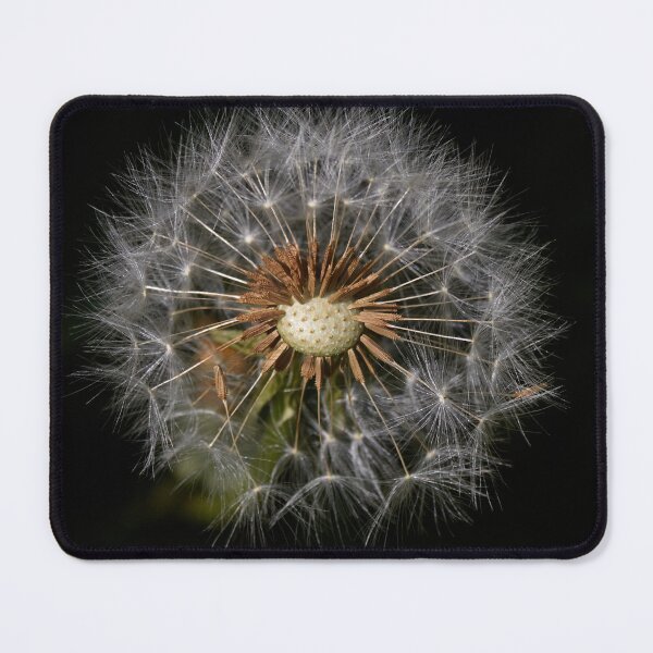 Item preview, Dandelion in the Dark designed and sold by couragesings.