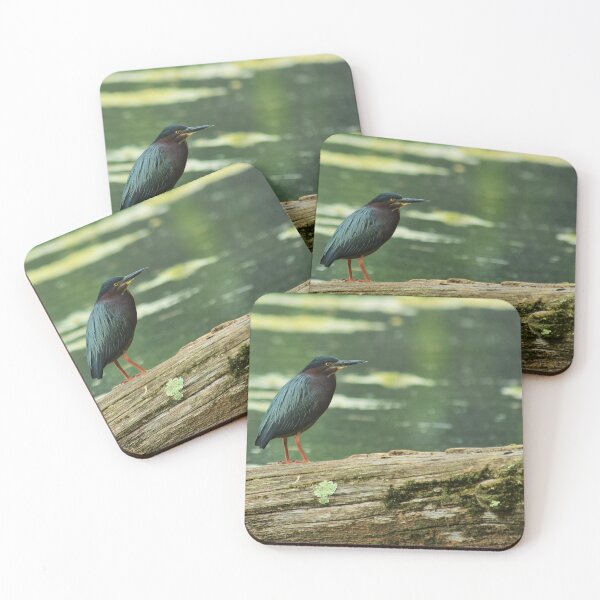 Item preview, Green Heron   designed and sold by WWbugsandslugs.