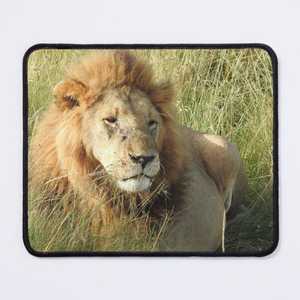 Item preview, Lion King designed and sold by Faunagraphy360.