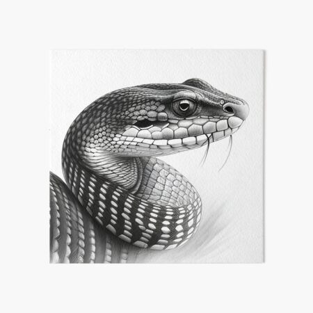 Snake and Plant Pencil Drawing, Vintage Style Graphic Black and White Stock  Illustration - Illustration of barcode, nature: 173598635